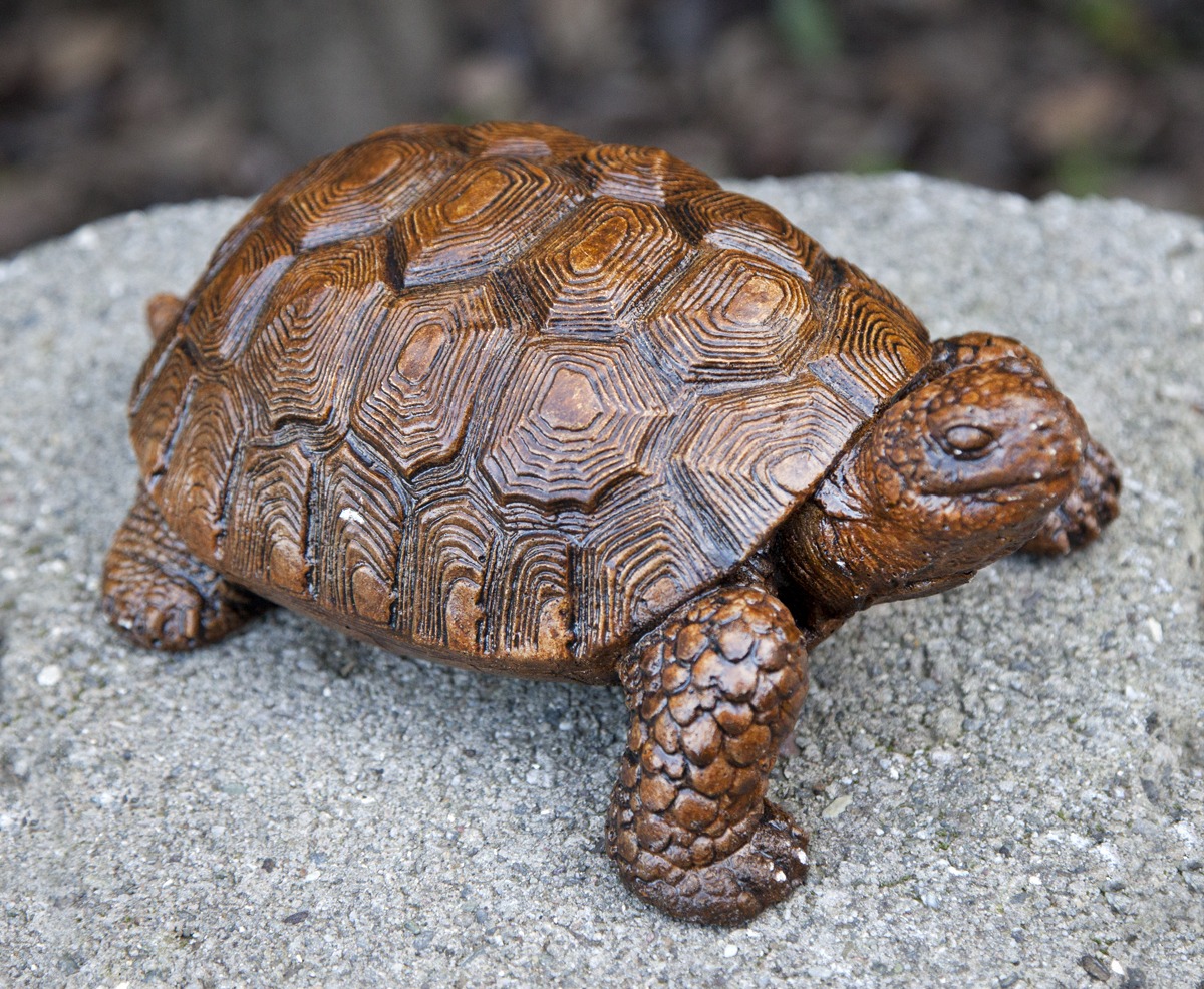 Happy Tortoise - Pottery World