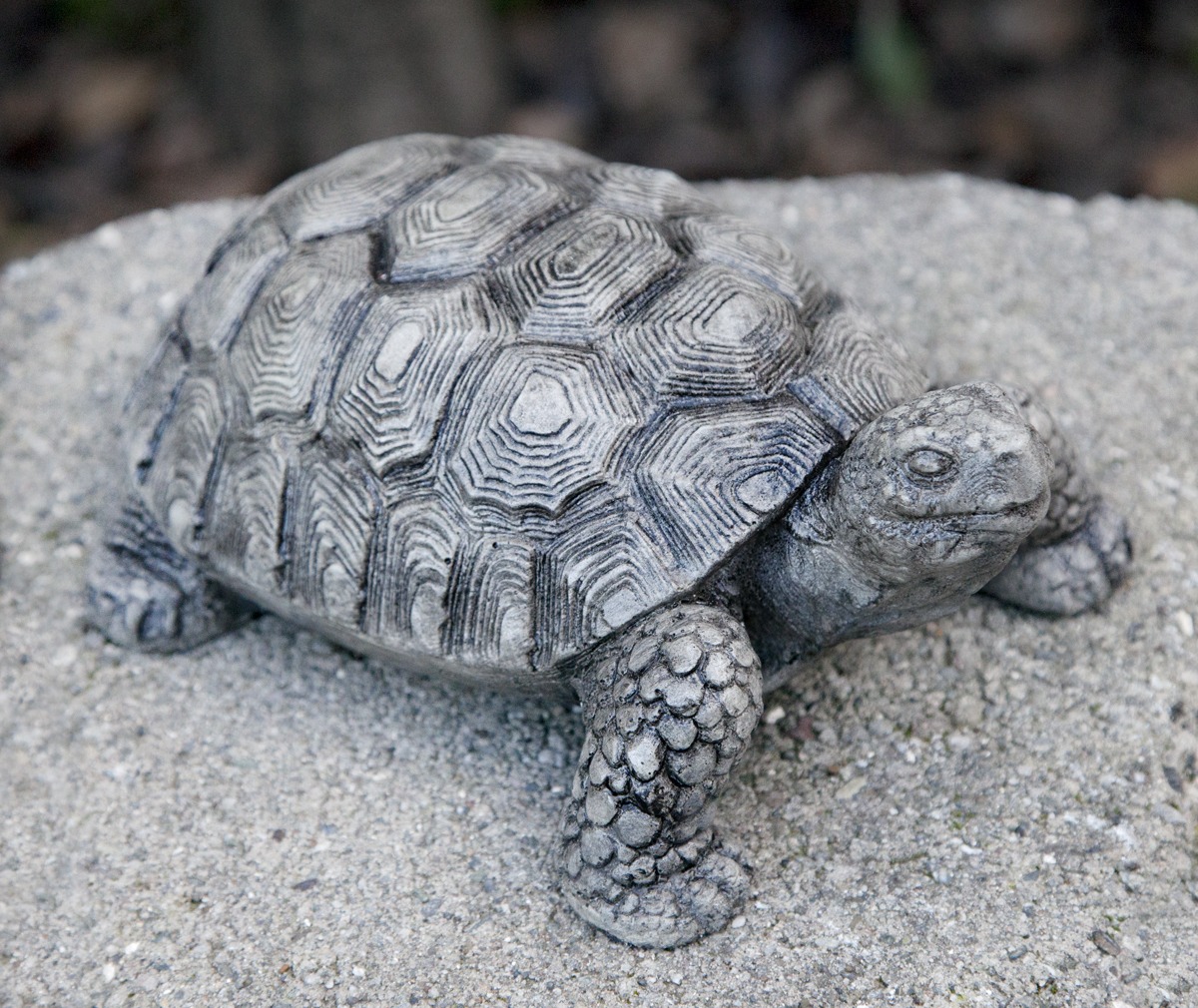 Happy Tortoise - Pottery World