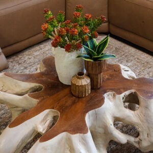 Teak Round Coffee Table