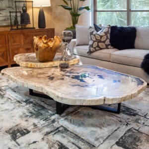 Petrified Wood Coffee Table Set
