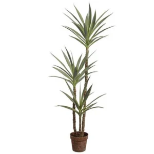 Yucca Tree in Plastic Pot 59"