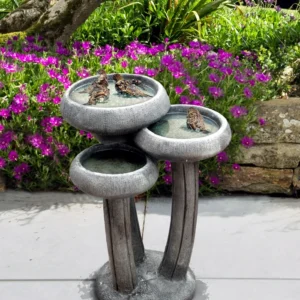 Water Lilies Bird Bath