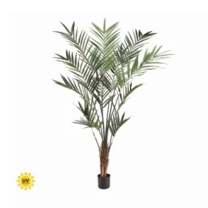 UV Kentia Palm 7'