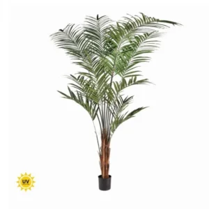 UV Kentia Palm 10'