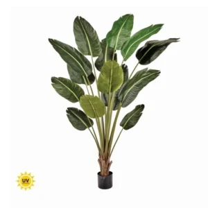 UV Traveler's Palm 6'