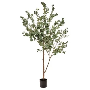 Eucalyptus Plant 72"