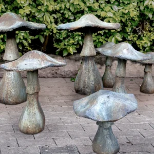 Garden Mushrooms