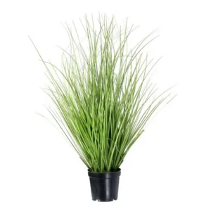 Herb Grass 15"