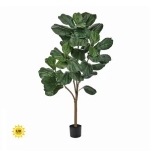 UV Fiddle Leaf Fig Tree 5'