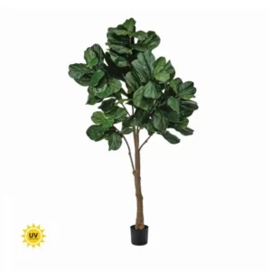 UV Fiddle Leaf Fig Tree 8'