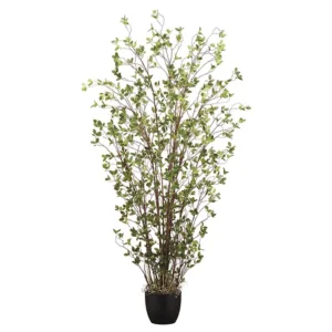 Mini Leaf Plant in Pot 72"