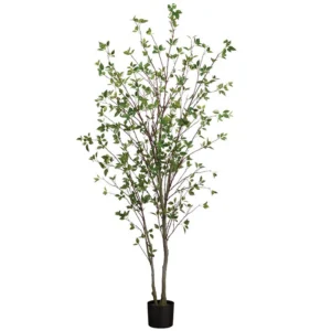 Cornus Tree x2 in Pot 84"