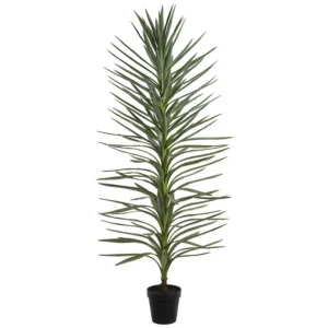 Dracaena Tree 72"