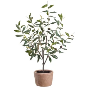 Olive Topiary 28"