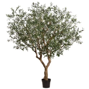 Olive Tree in Planter 98"