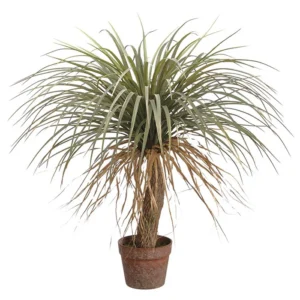 Desert Palm Tree 31"