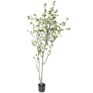 Black Olive Tree 82.5"