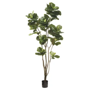 Eva Fiddle Leaf Tree in Pot 8'