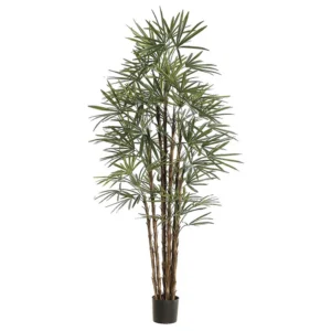 Rhapis Palm Tree 82.6"