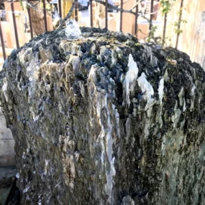 Dragon Bone Fountain