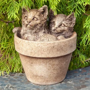 Kitten in Pot