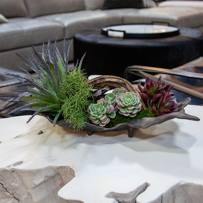 Succulent Cloud Arrangement