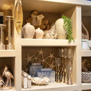Seashore Shelves Starfish Back